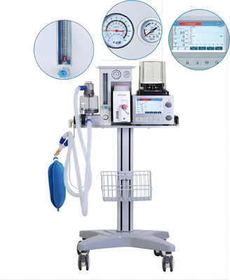 Хорошая цена DM6B Four Casters Veterinary Anesthesia Scavenger System 0-60L/Min онлайн