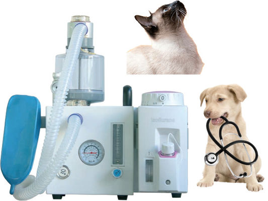 Хорошая цена DM6D Veterinary Anesthesia Ventilator Small Animal Anesthesia System онлайн
