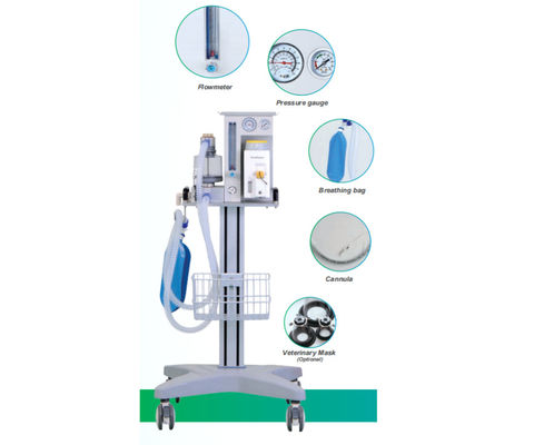 Bon prix O2 Veterinary Anesthesia Ventilator 280kPa-600kPa Vet Anaesthetic Machine DM6C en ligne