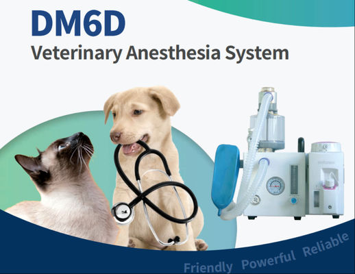 Bon prix High Precision DM6D VET Animal Anesthesia Machine 280kPa-600kPa en ligne