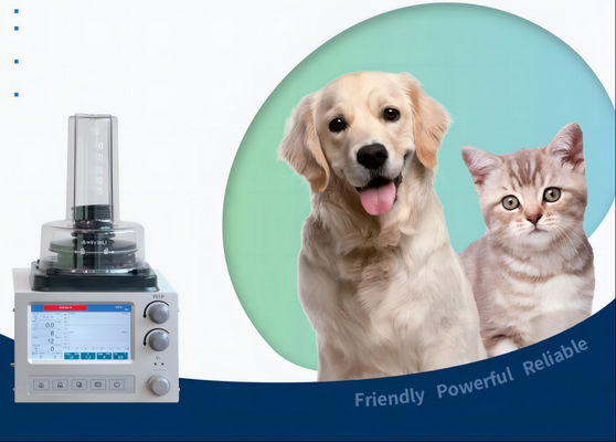 Bon prix DH6B Veterinary Anesthesia Ventilator With 3 Ventilation Modes IPPV A/C SIMV en ligne