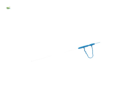 Nome